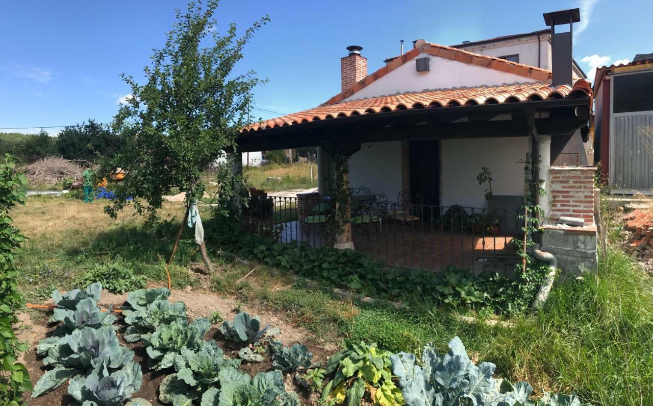 Casa De Pueblo Con Merendero Alquilable Opcionalmente Casarejos Exterior photo